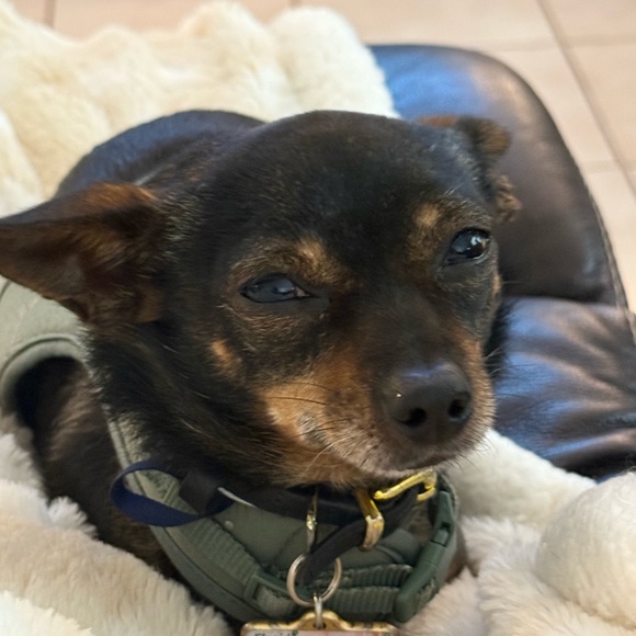 Meet your Posher, Jill - Picture 12 of 12